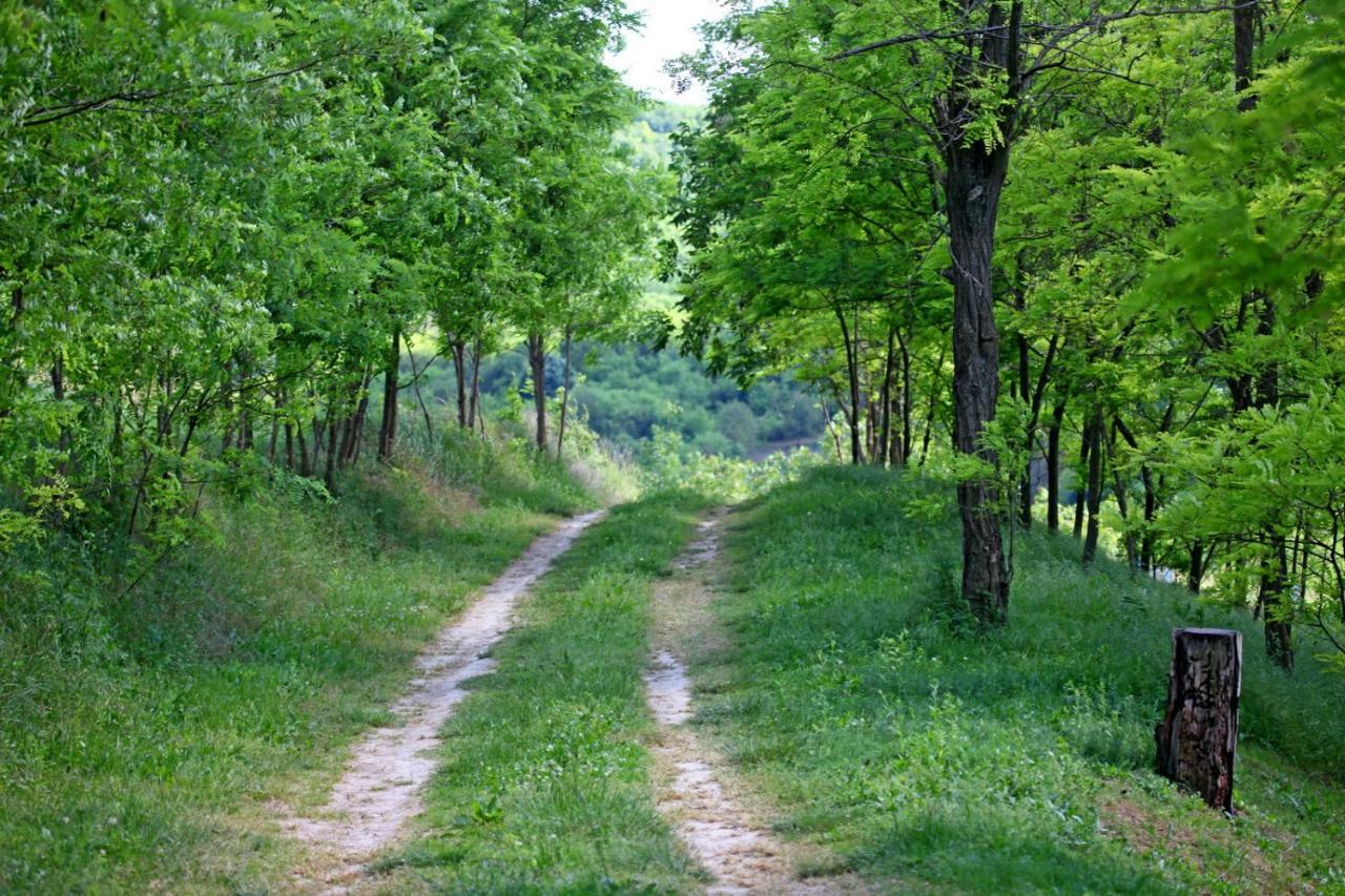 Villa Mons Aureus Popovac 外观 照片