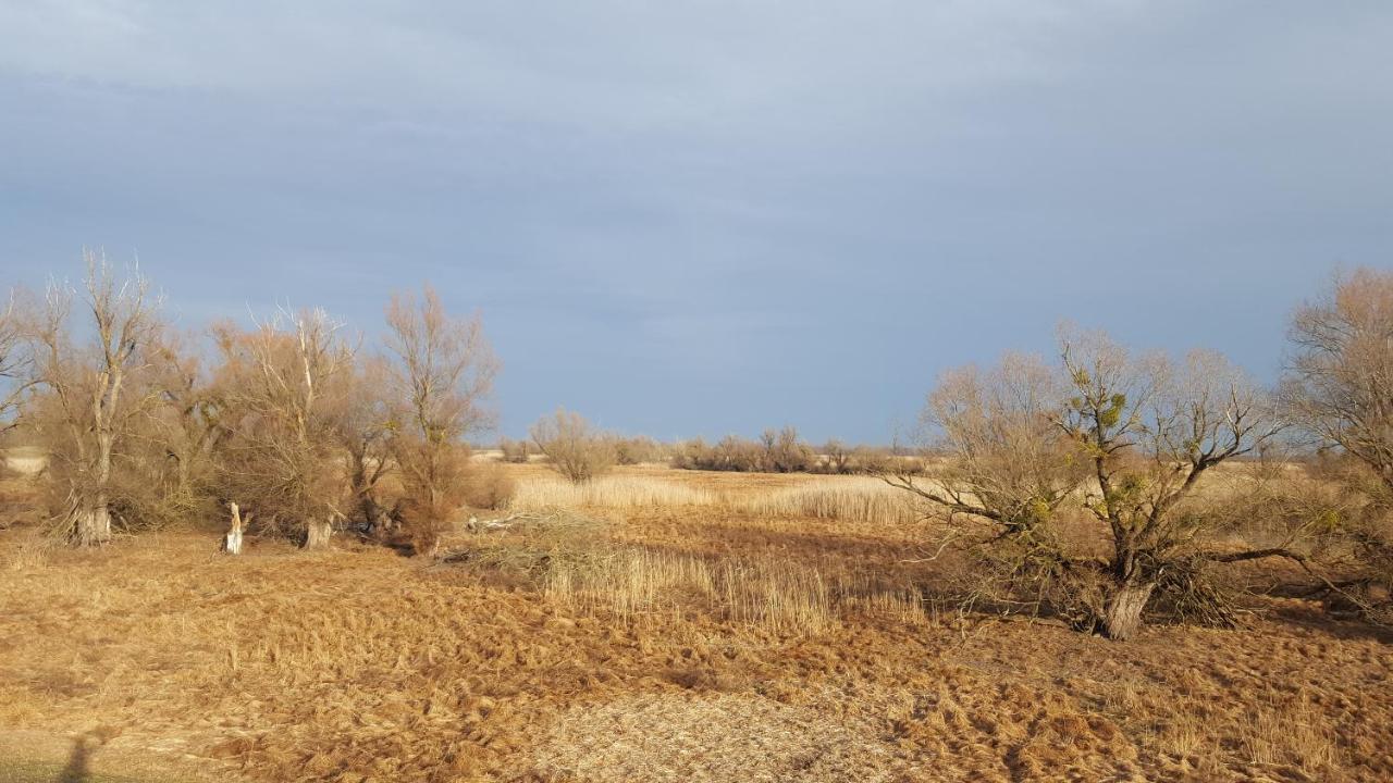 Villa Mons Aureus Popovac 外观 照片