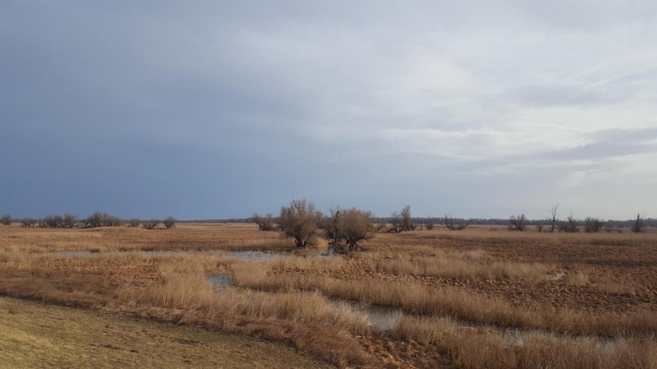 Villa Mons Aureus Popovac 外观 照片